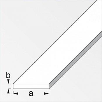 Flachstahlleiste verzinkt 1 Meter