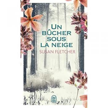 Un bÃ»cher sous la neige
