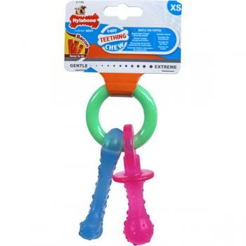 Nylabone Dog Toy Keychain Meat Cheese Puppies Bacon Nylon Thermoplastic Size XS