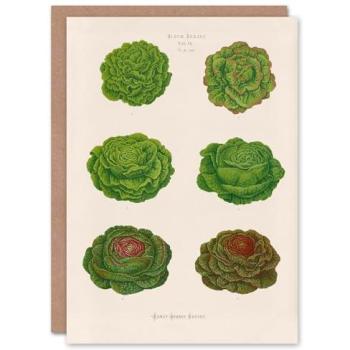 Ernst Benary Art Card Artery 8 Lettuce & Cabbage Assortment – Classic White