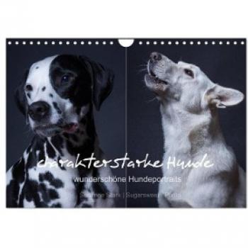 Charakterstarke Hunde