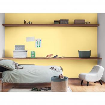 Dulux Vanilla Sundae 5L Matt Emulsion Paint with Complimentary PSP Touch-up Brush