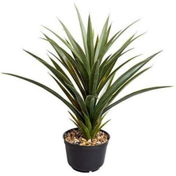 Spiky Sisal Indoor Faux Plant 62cm