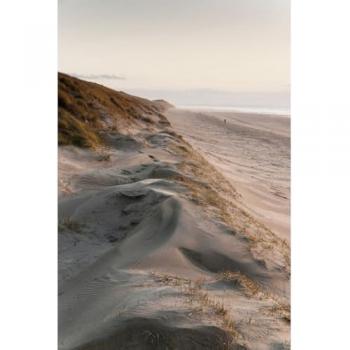Tableau HD Dune 80x120 cm CEANOTHE