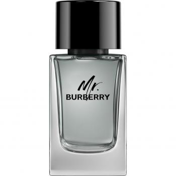 Burberry Mr. Burberry Eau de Toilette für Herren 100 ml