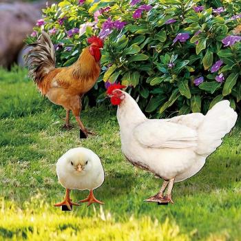 Poussin Décoration de jardin