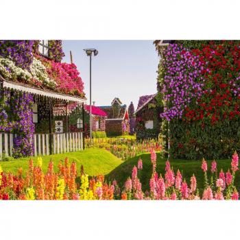 Fototapete »DUBAI BLUMENSTRAßE: HÄUSER IM PARK«