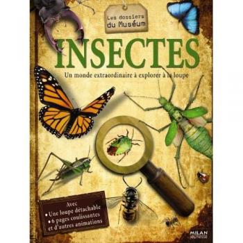 Insectes