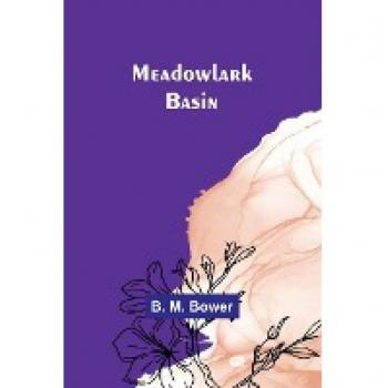Meadowlark Basin
