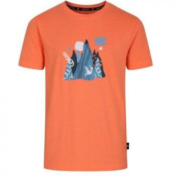 Dare 2B Children's Trailblazer II Mountain T-Shirt