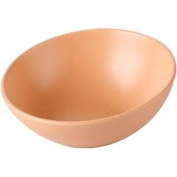 TECHOME Ceramic Cat Dish with Wooden Stand