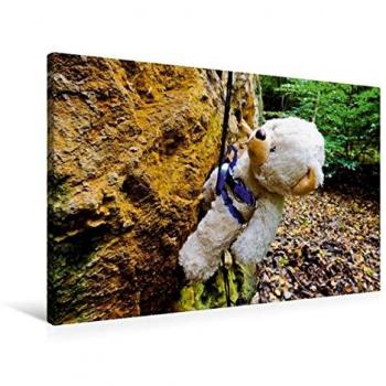 Fertigbild Calvendo 90 × 60 cm – Textil‑Leinwand mit Outdoor Teddys
