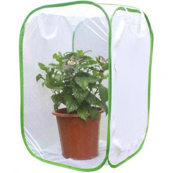 Cage d'Observation pour Papillons et Insectes