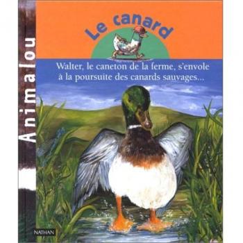 Le Canard : Walter, le caneton de la ferme, s'envole Ã  la poursuite des canards sauvages...