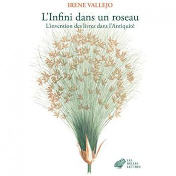 L'Infini Dans Un Roseau: L'Invention Des Livres Dans l'Antiquite