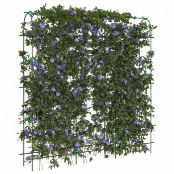 Vidaxl Climbing Plants U-Shape Steel Garden Trellises 2 pcs