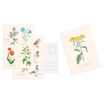 Cartes postales : une collection de 10 cartes postales autour des fleurs