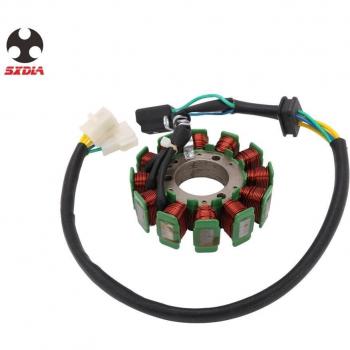 HYOSUNG GV250 GT250R GT250 GT125R GT125 GV125 Motorcycle Magneto Stator Charging Coil 2002