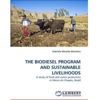 THE BIODIESEL PROGRAM AND SUSTAINABLE LIVELIHOODS: A study of food and castor production in Morro do Chapéu, Brazil