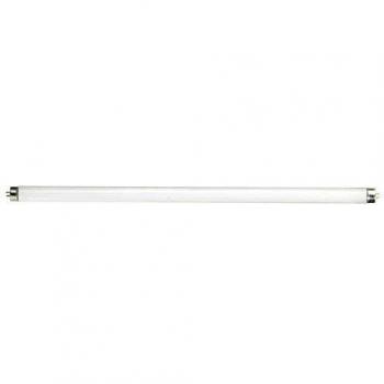 MAURER 27W Cranberry Watch – 72 esemplari