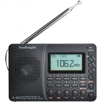Portable FM‑AM SW 603