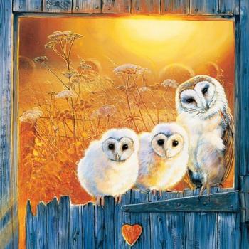 Mosaikbild Weiße Eule und Sonnenuntergang 30x30CM