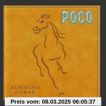 Schnelles Pferd