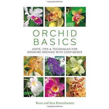 Orchid Basics