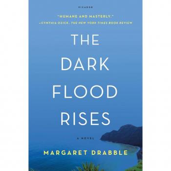 Dark Flood Rises