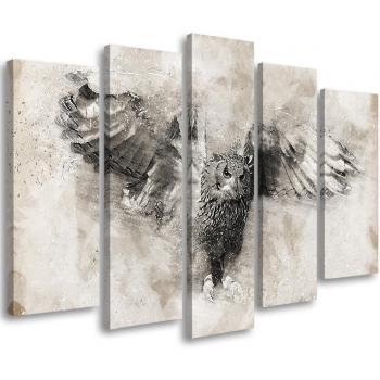 Vintage Grey Owl Birds Canvas Collection