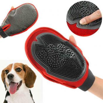 Gant de toilettage pour chiots et chats
