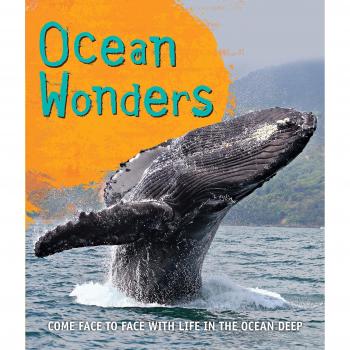 Fast Facts! Ocean Wonders (Paperback)