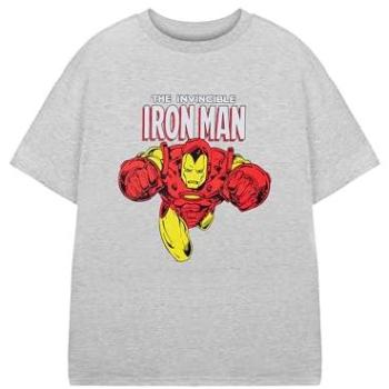 Marvel Boys' Short Sleeve Graphic Tee – Grey, 13-14 Years