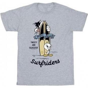 Looney Tunes Boys: Tweety e Sylvester in Onde Perfette
