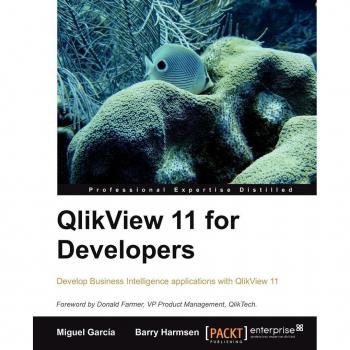 QlikView 11 Developer's Guide: Effective Analytics Techniques for Modern Business Intelligence
