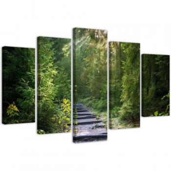 Toile panoramique Paysage Forestier 100x70