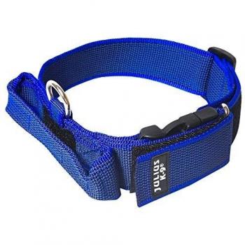 Collar Julius-K9 con asa de agarre, cierre de seguridad y remiendo intercambiables, 40 mm, tamaño