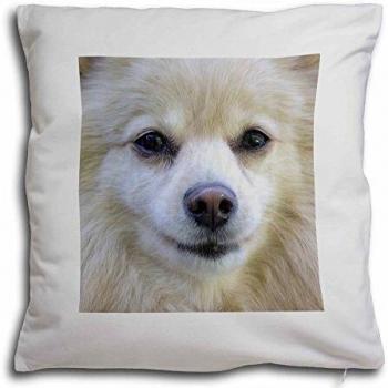Velvet Soft Dog Seat Cover for Japanese Spitz with Pillow – Advanta Group