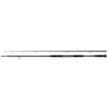 Shimano Catfish Beastmaster 2.40 m