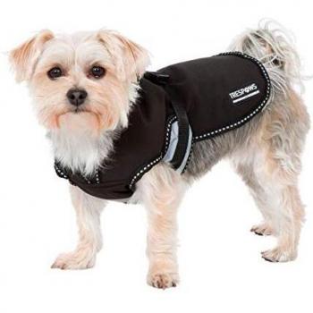 Isolierende Softshell-Hundjacke Butch Trespaws – Schwarz