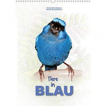 Tiere in Blau