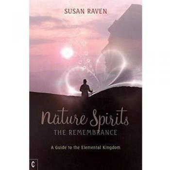 Nature Spirits: The Remembrance : A Guide to the Elemental Kingdom