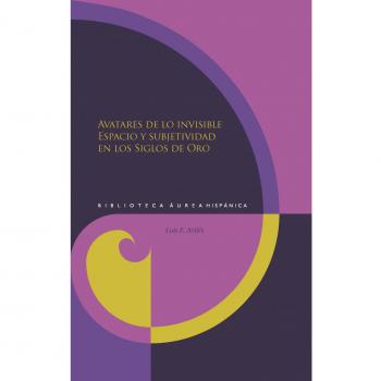 Avatares de lo invisible: Espacio y subjetividad en los siglo