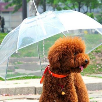 Dog and Cat Rain Umbrella with Integrated Leash