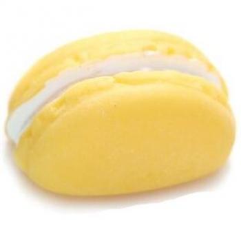 Cartoon Macaron Fridge Magnet Set