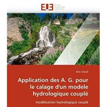 Application des A. G. pour le calage d'un modele hydrologique couplé: modélisation hydrologique couplé
