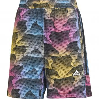 Adidas Pantaloni Corti Tiro Q2 Estivi Nero / Multicolore M