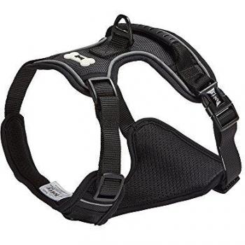 Bunty Comfortable Fabric Dog Harness