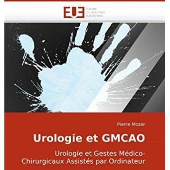 Urologie et GMCAO: Urologie et Gestes Médico-Chirurgicaux Assistés par Ordinateur