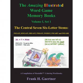 The Amazing Illustrated Word Game Memory Books Vol. I Set I